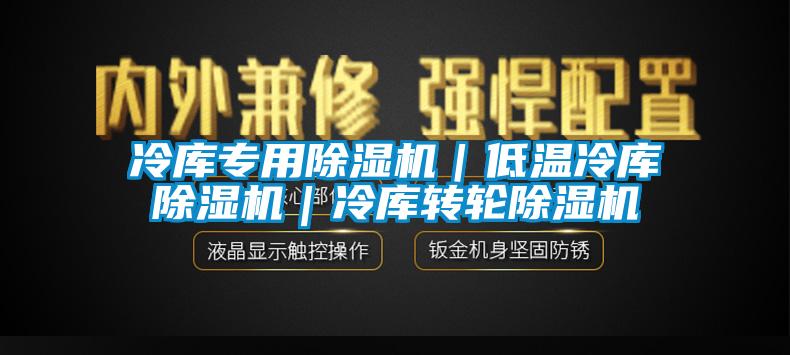欧美黄色电影在线播放 冷库专用除湿机｜低温冷库除湿机｜冷库转轮除湿机