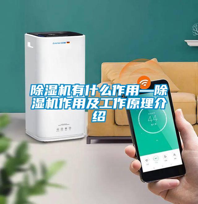 欧美黄色性爱视频网站 除湿机有什么作用—除湿机作用及工作原理介绍
