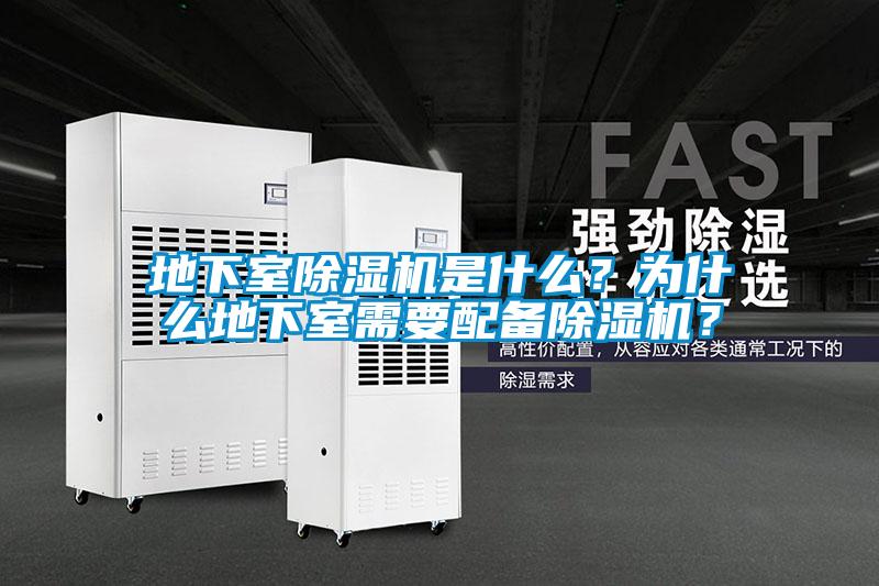 欧美成色手机在线观看 地下室除湿机是什么？为什么地下室需要配备除湿机？