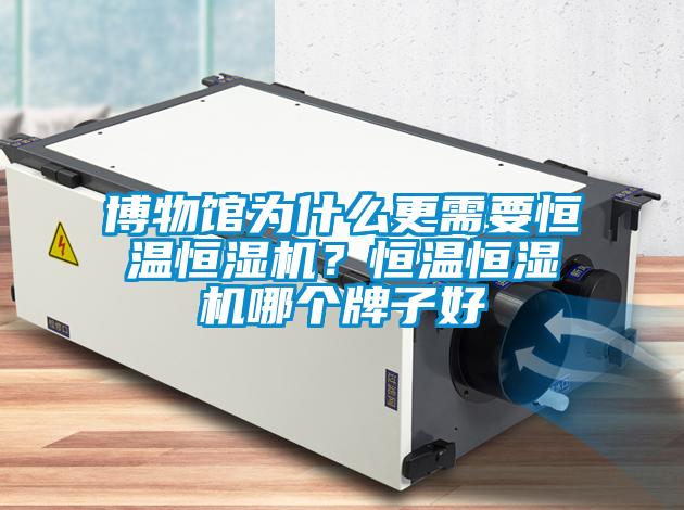 欧美成色手机在线观看 博物馆为什么更需要恒温恒湿机？恒温恒湿机哪个牌子好