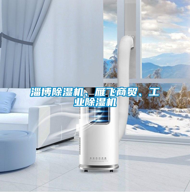 欧美黄色性爱视频网站 淄博除湿机、雁飞商贸、工业除湿机