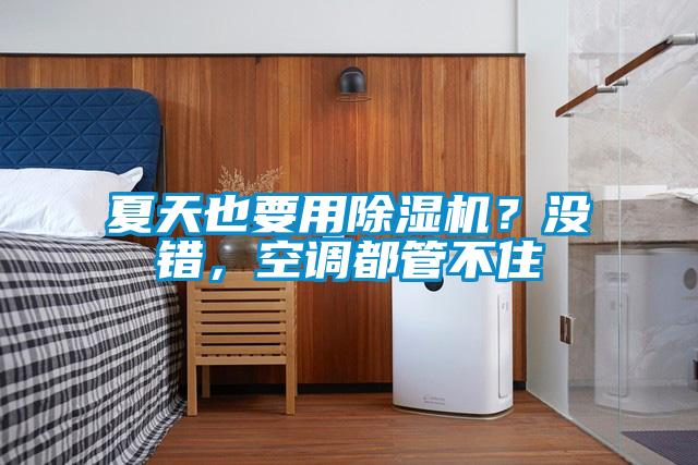 欧美黄色性爱视频网站 夏天也要用除湿机？没错，空调都管不住