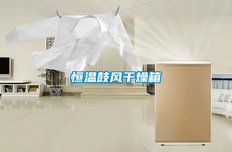 欧美黄色性爱视频网站 恒温鼓风干燥箱