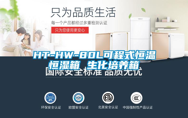 欧美黄色电影在线播放 HT-HW-80L可程式恒温恒湿箱 生化培养箱