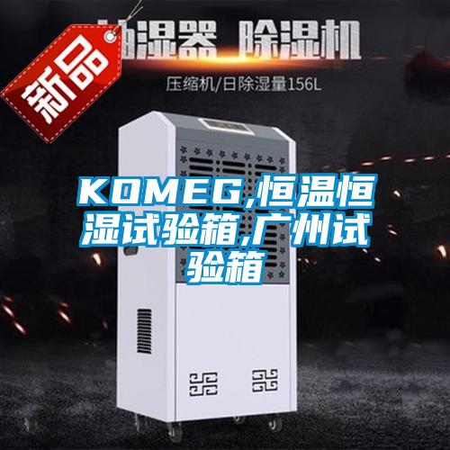 欧美黄色电影在线播放 KOMEG,恒温恒湿试验箱,广州试验箱