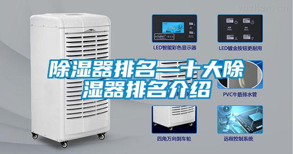 欧美黄色电影在线播放 除湿器排名—十大除湿器排名介绍