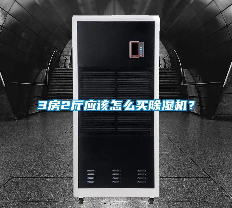 欧美黄色性爱视频网站 3房2厅应该怎么买除湿机？