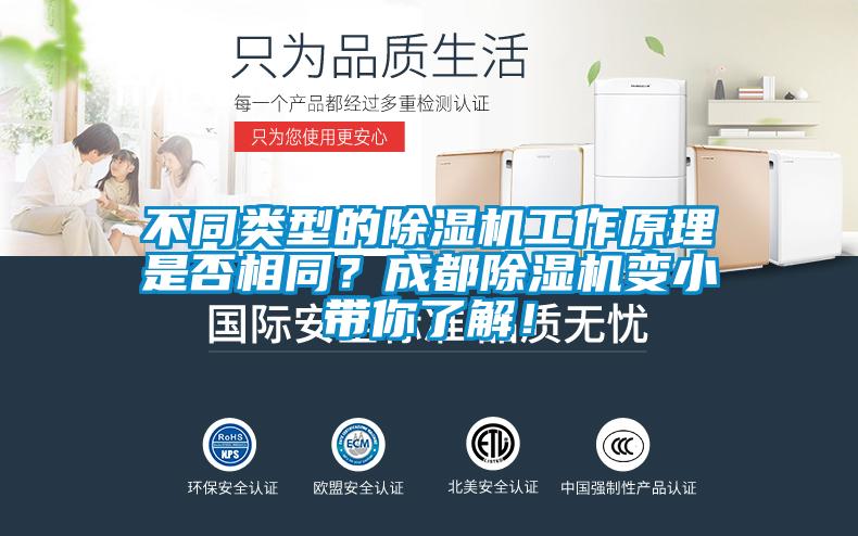 欧美黄色性爱视频网站 不同类型的除湿机工作原理是否相同？成都除湿机变小带你了解！