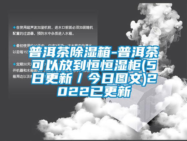 普洱茶除湿箱-普洱茶可以放到恒恒湿柜(5日更新／今日图文)2022已更新