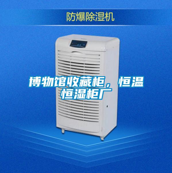 欧美黄色电影在线播放 博物馆收藏柜，恒温恒湿柜厂