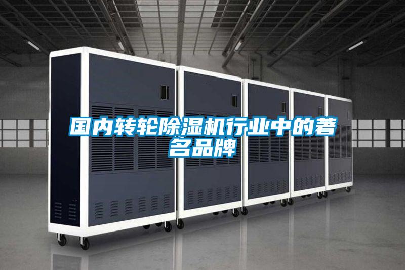 欧美黄色性爱视频网站 国内转轮除湿机行业中的著名品牌