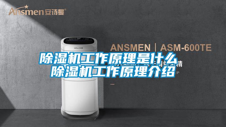 欧美成色手机在线观看 除湿机工作原理是什么 除湿机工作原理介绍