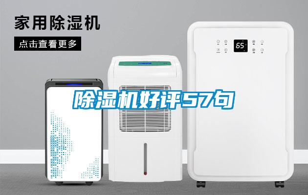 欧美成色手机在线观看 除湿机好评57句