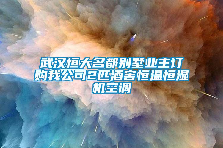 欧美成色手机在线观看 武汉恒大名都别墅业主订购我公司2匹酒窖恒温恒湿机空调