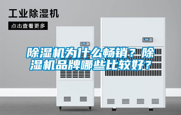 欧美成色手机在线观看 除湿机为什么畅销？除湿机品牌哪些比较好？