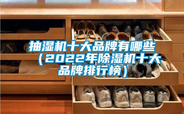 欧美成色手机在线观看 抽湿机十大品牌有哪些（2022年除湿机十大品牌排行榜）