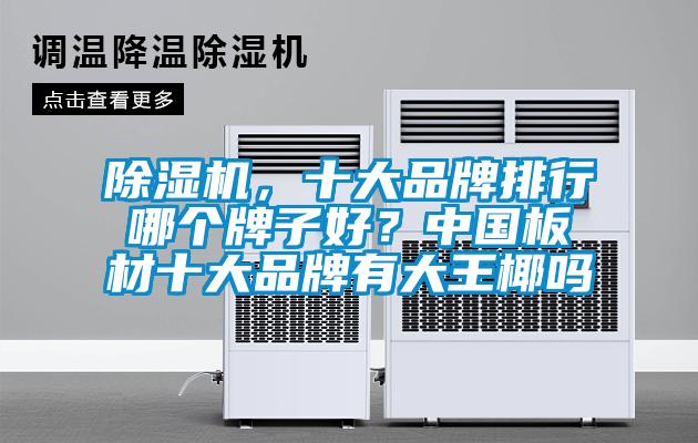 欧美黄色性爱视频网站 除湿机，十大品牌排行哪个牌子好？中国板材十大品牌有大王椰吗