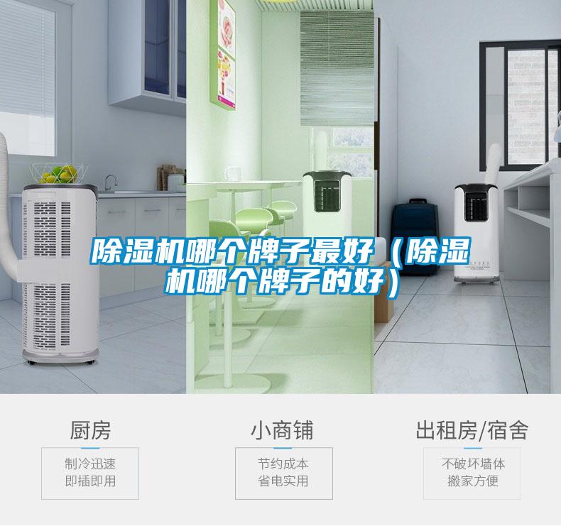 欧美黄色电影在线播放 除湿机哪个牌子最好（除湿机哪个牌子的好）