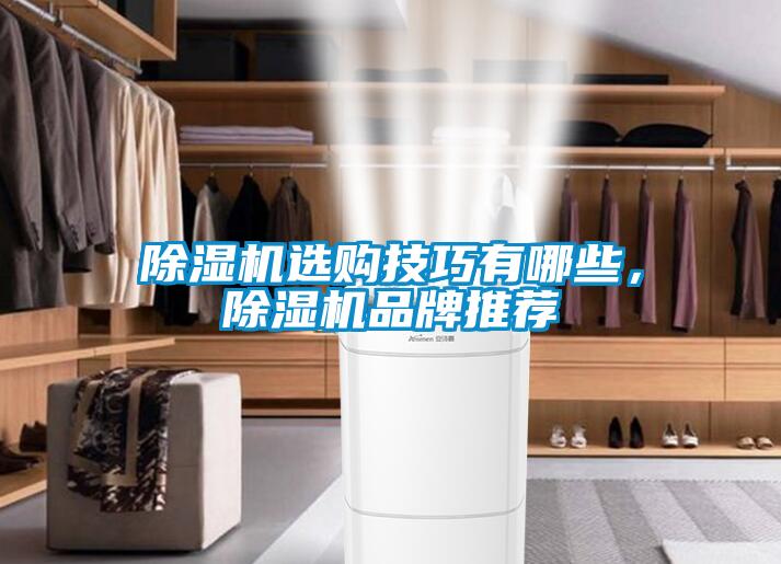 欧美黄色性爱视频网站 除湿机选购技巧有哪些，除湿机品牌推荐