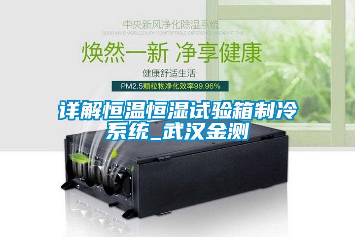 欧美黄色电影在线播放 详解恒温恒湿试验箱制冷系统_武汉金测