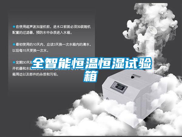欧美黄色性爱视频网站 全智能恒温恒湿试验箱