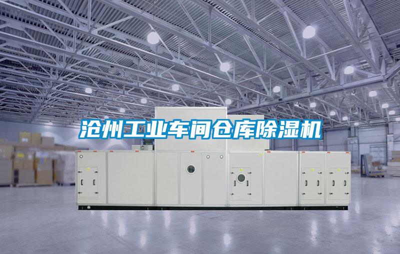 欧美成色手机在线观看 沧州工业车间仓库除湿机