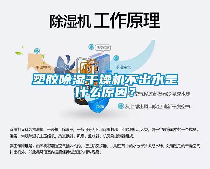 欧美黄色电影在线播放 塑胶除湿干燥机不出水是什么原因？