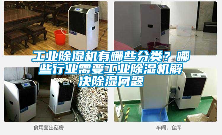 欧美黄色性爱视频网站 工业除湿机有哪些分类？哪些行业需要工业除湿机解决除湿问题