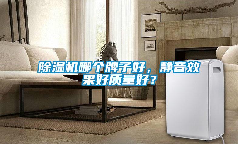 欧美黄色电影在线播放 除湿机哪个牌子好，静音效果好质量好？