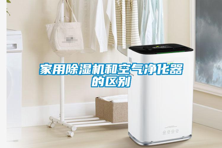 欧美黄色性爱视频网站 家用除湿机和空气净化器的区别