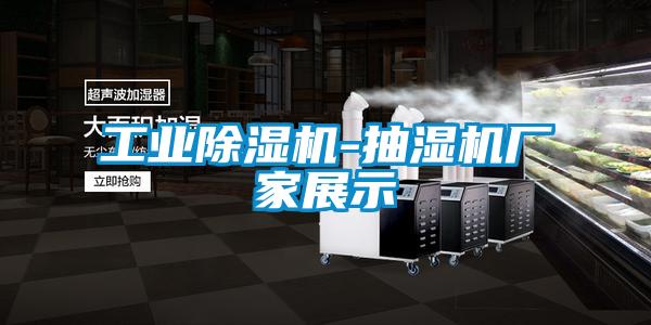 欧美黄色性爱视频网站 工业除湿机-抽湿机厂家展示