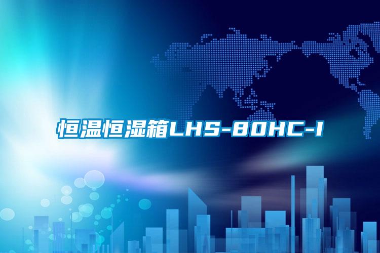 欧美黄色电影在线播放 恒温恒湿箱LHS-80HC-I