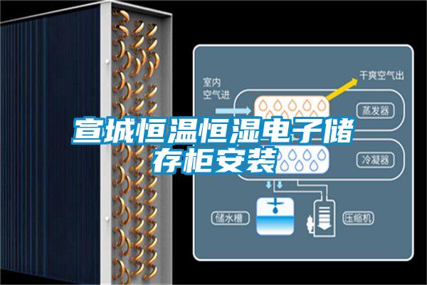 欧美成色手机在线观看 宣城恒温恒湿电子储存柜安装