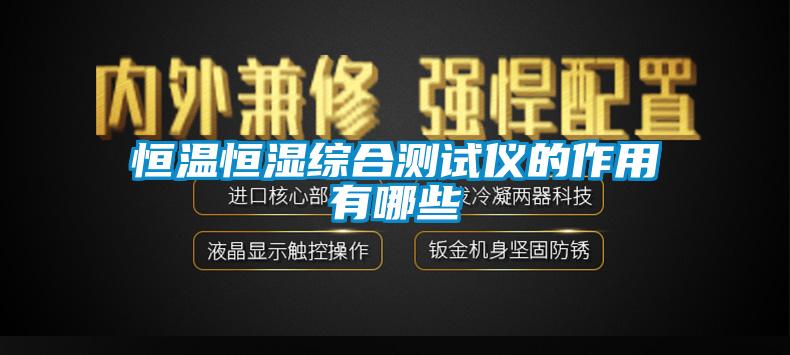 欧美黄色电影在线播放 恒温恒湿综合测试仪的作用有哪些