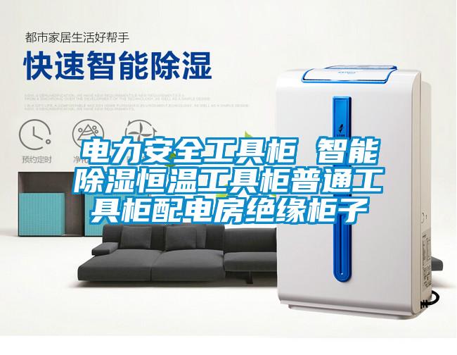 欧美黄色电影在线播放 电力安全工具柜 智能除湿恒温工具柜普通工具柜配电房绝缘柜子