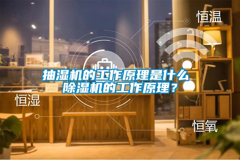 欧美成色手机在线观看 抽湿机的工作原理是什么 除湿机的工作原理？