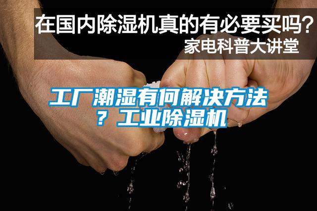 欧美黄色电影在线播放 工厂潮湿有何解决方法？工业除湿机