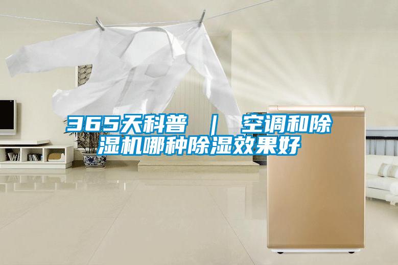 欧美成色手机在线观看 365天科普 ｜ 空调和除湿机哪种除湿效果好