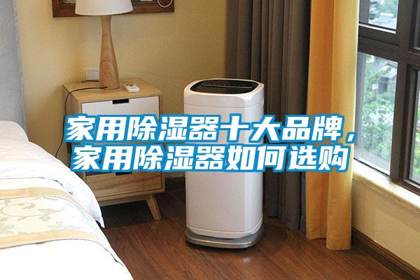 欧美成色手机在线观看 家用除湿器十大品牌，家用除湿器如何选购