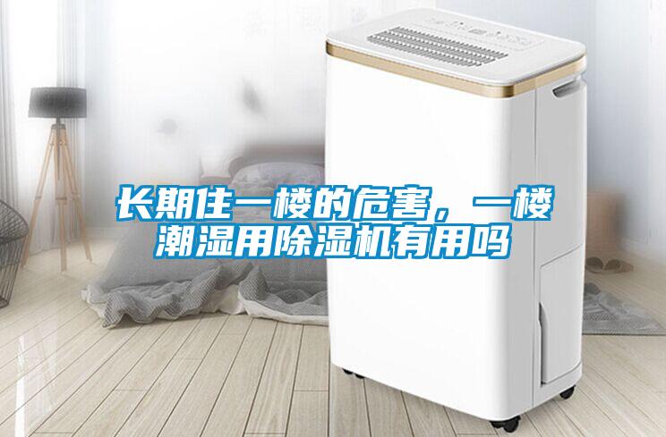 欧美黄色电影在线播放 长期住一楼的危害，一楼潮湿用除湿机有用吗