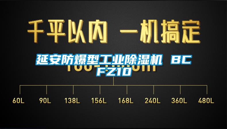 欧美黄色电影在线播放 延安防爆型工业除湿机 BCFZ10