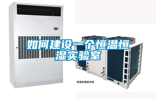 欧美黄色电影在线播放 如何建设一个恒温恒湿实验室