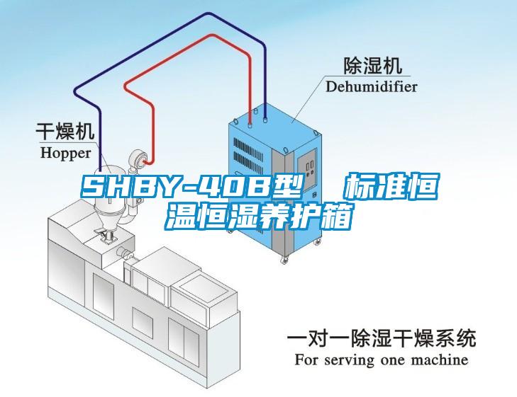 欧美成色手机在线观看 SHBY-40B型  标准恒温恒湿养护箱