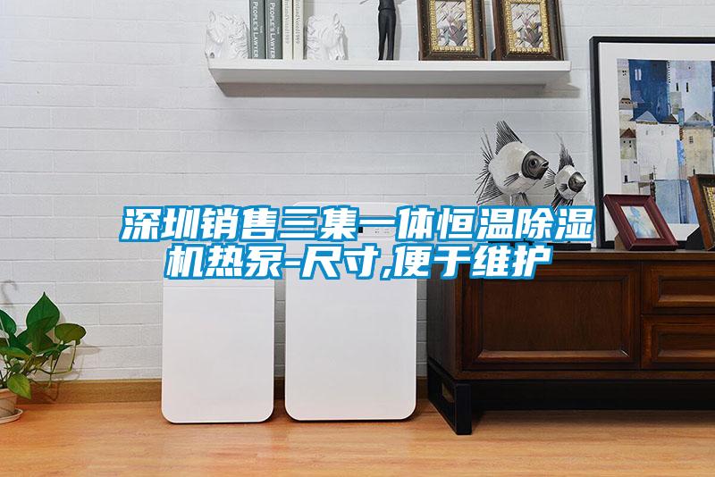 欧美黄色电影在线播放 深圳销售三集一体恒温除湿机热泵-尺寸,便于维护
