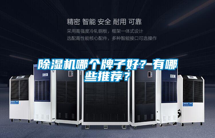 欧美黄色性爱视频网站 除湿机哪个牌子好？有哪些推荐？