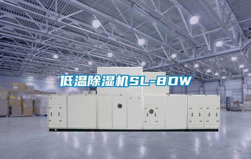 欧美黄色电影在线播放 低温除湿机SL-8DW