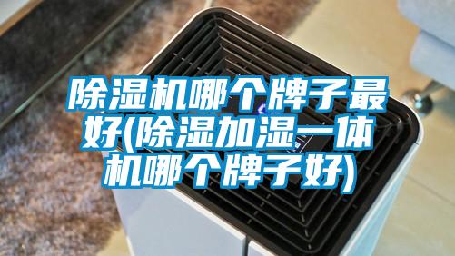 欧美黄色电影在线播放 除湿机哪个牌子最好(除湿加湿一体机哪个牌子好)