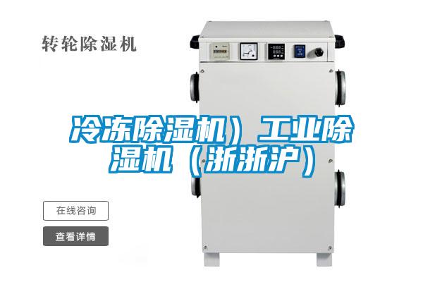 欧美成色手机在线观看 冷冻除湿机）工业除湿机（浙浙沪）