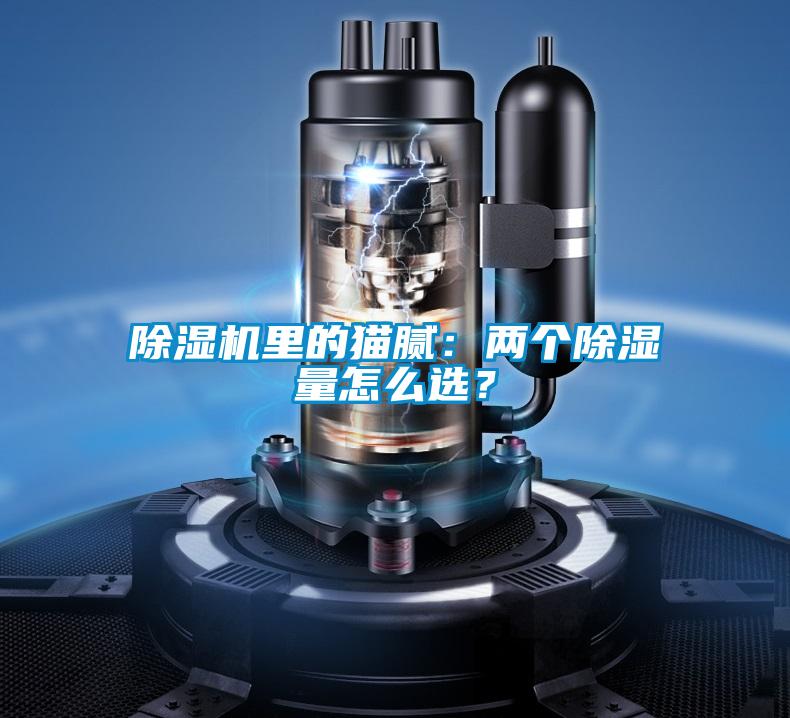 欧美成色手机在线观看 除湿机里的猫腻：两个除湿量怎么选？