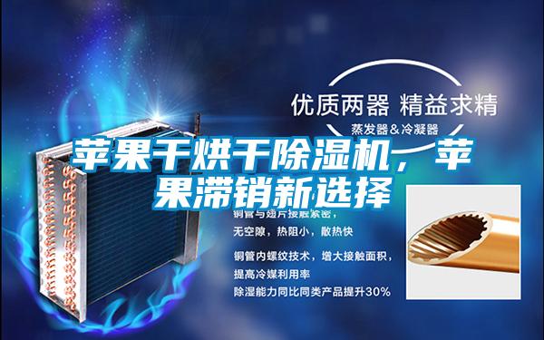 欧美黄色电影在线播放 苹果干烘干除湿机，苹果滞销新选择